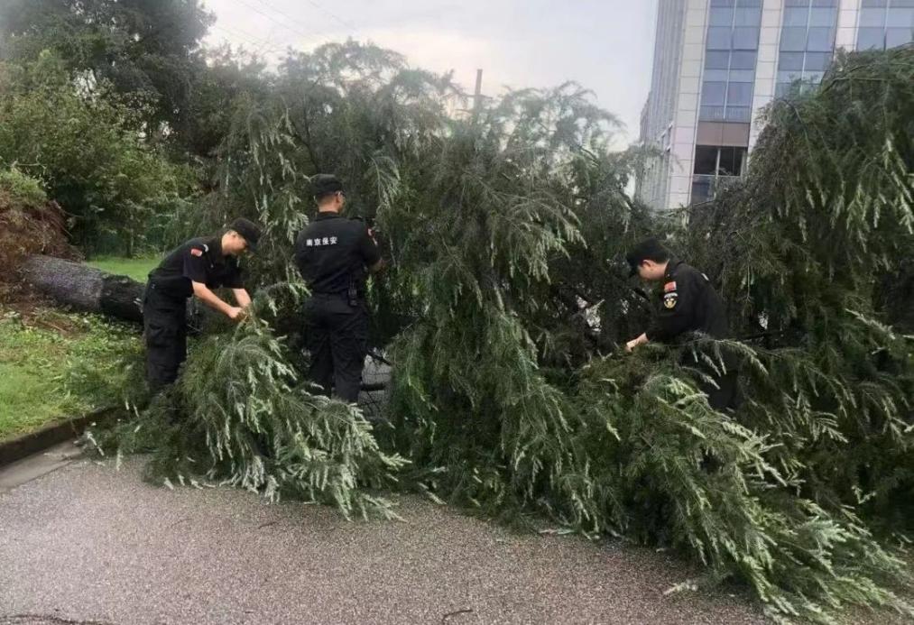 C:/Users/BA/Desktop/風(fēng)雨過(guò)后南京保安迅速行動(dòng)，恢復(fù)安“寧”面貌/1.jpg1